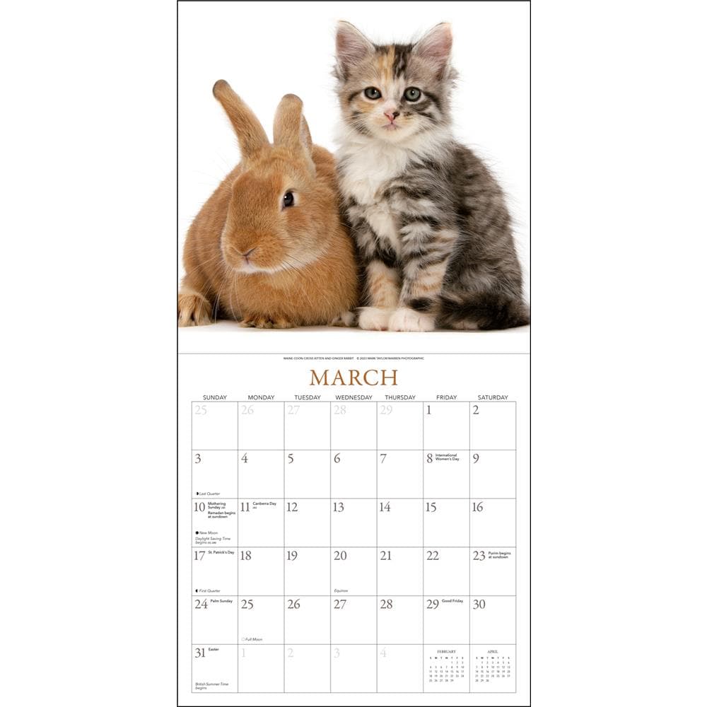 Kittens and Friends 2024 Wall Calendar product image