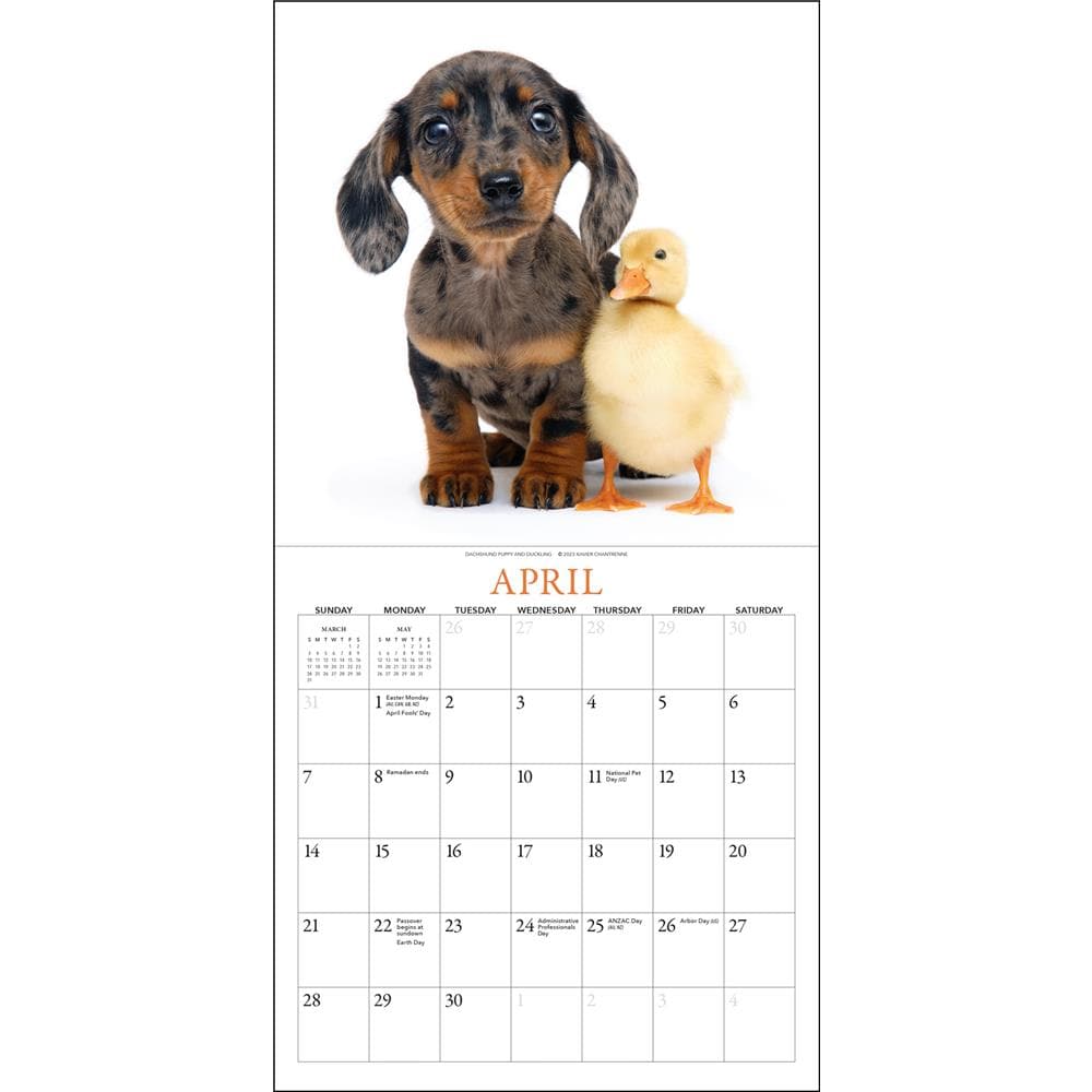 Puppies and Friends 2024 Mini Calendar product Image