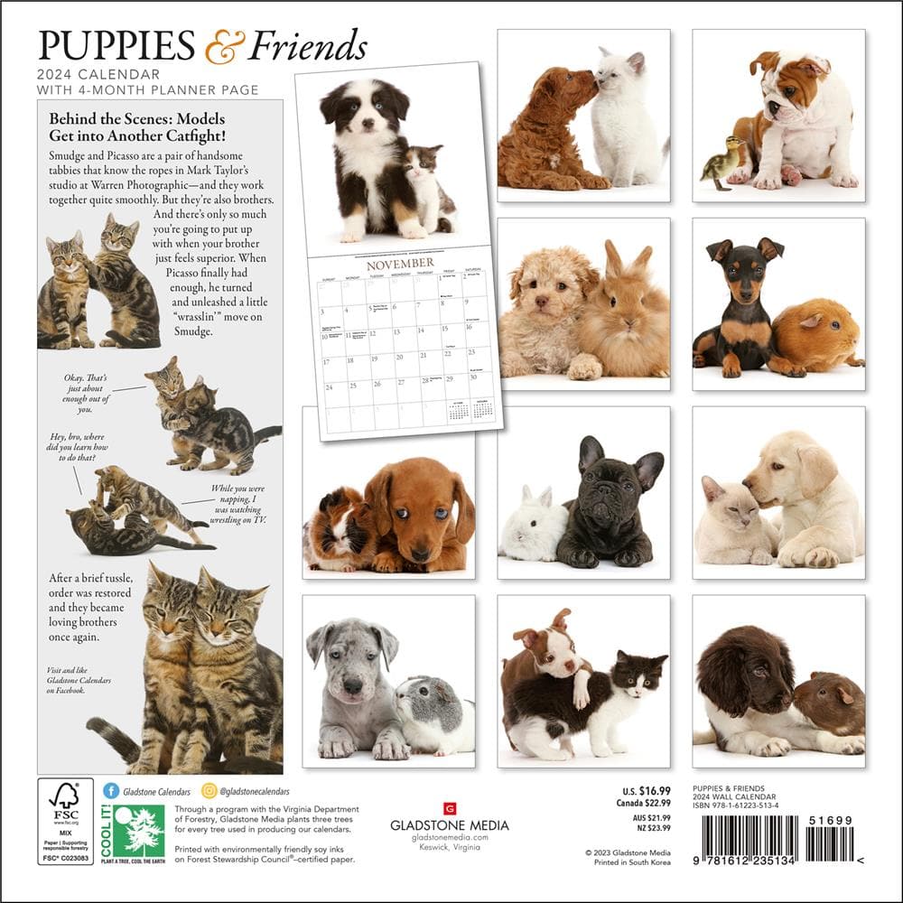 Puppies and Friends 2024 Wall Calendar product Image