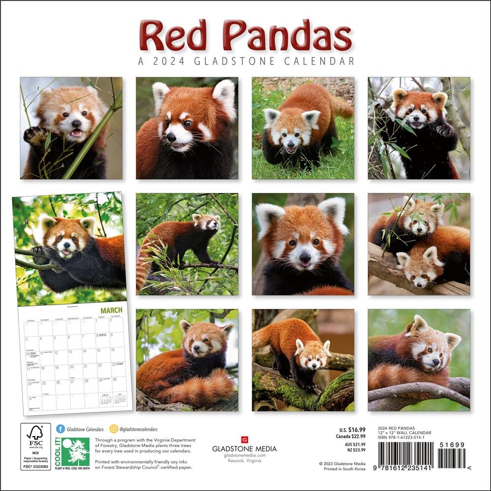 Red Pandas 2024 Wall Calendar product image