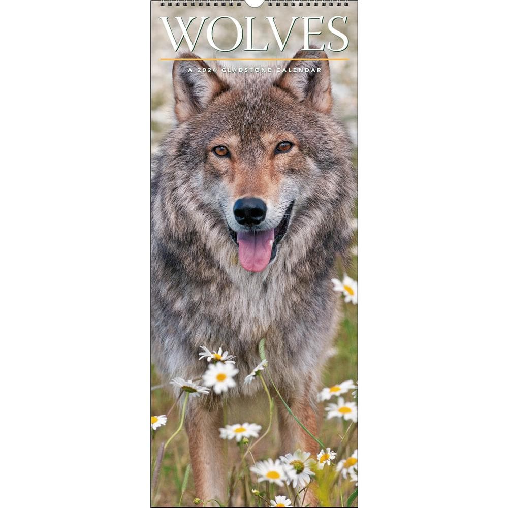 Wolves 2024 Poster Calendar product image