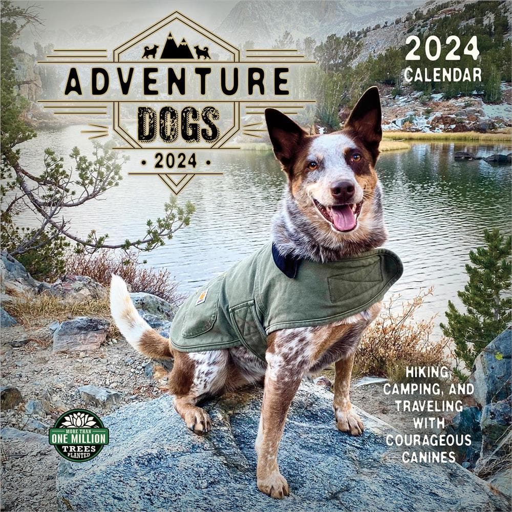 Adventure Dogs 2024 Wall Calendar product image