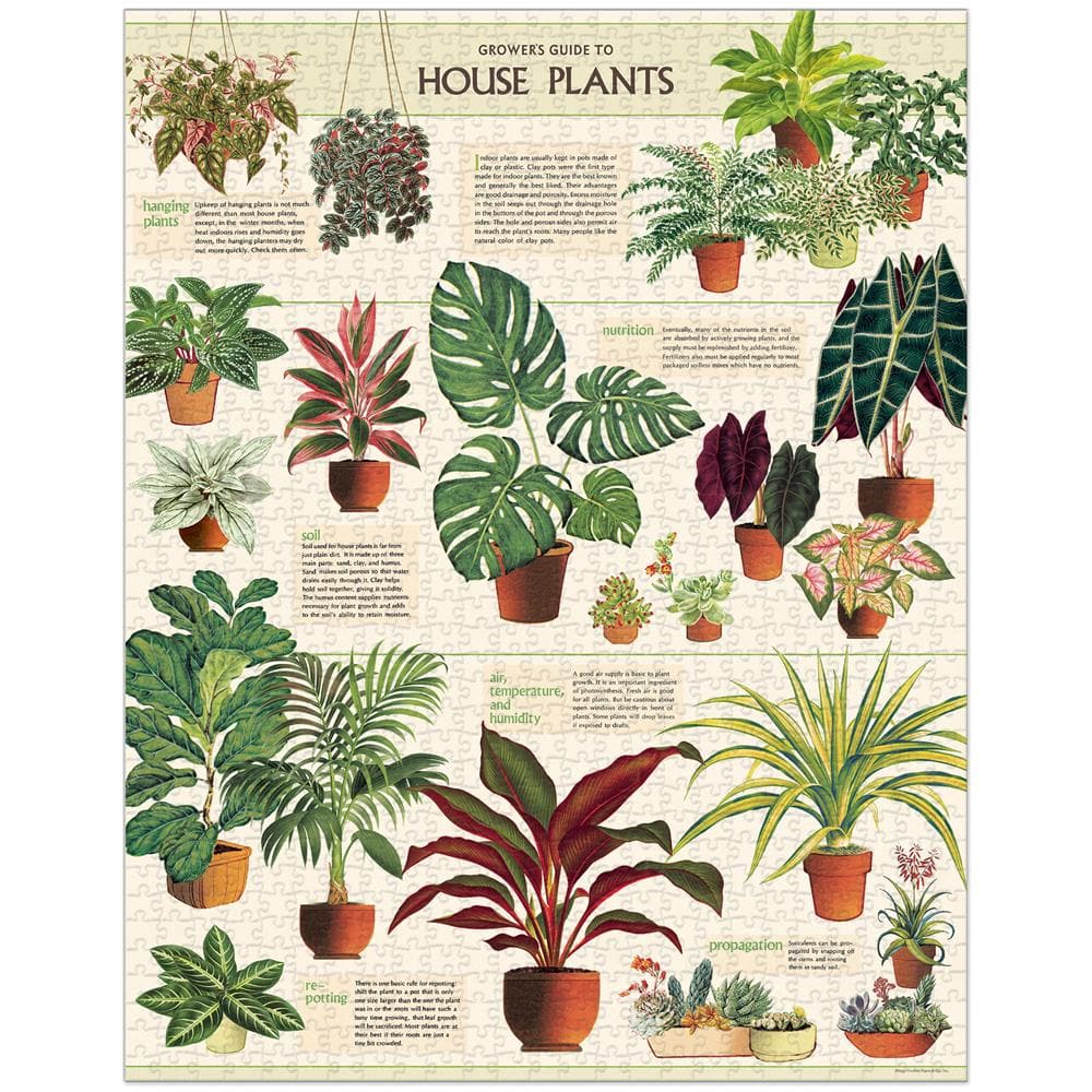 House Plants Jigsaw Puzzle (1000 Piece) product image