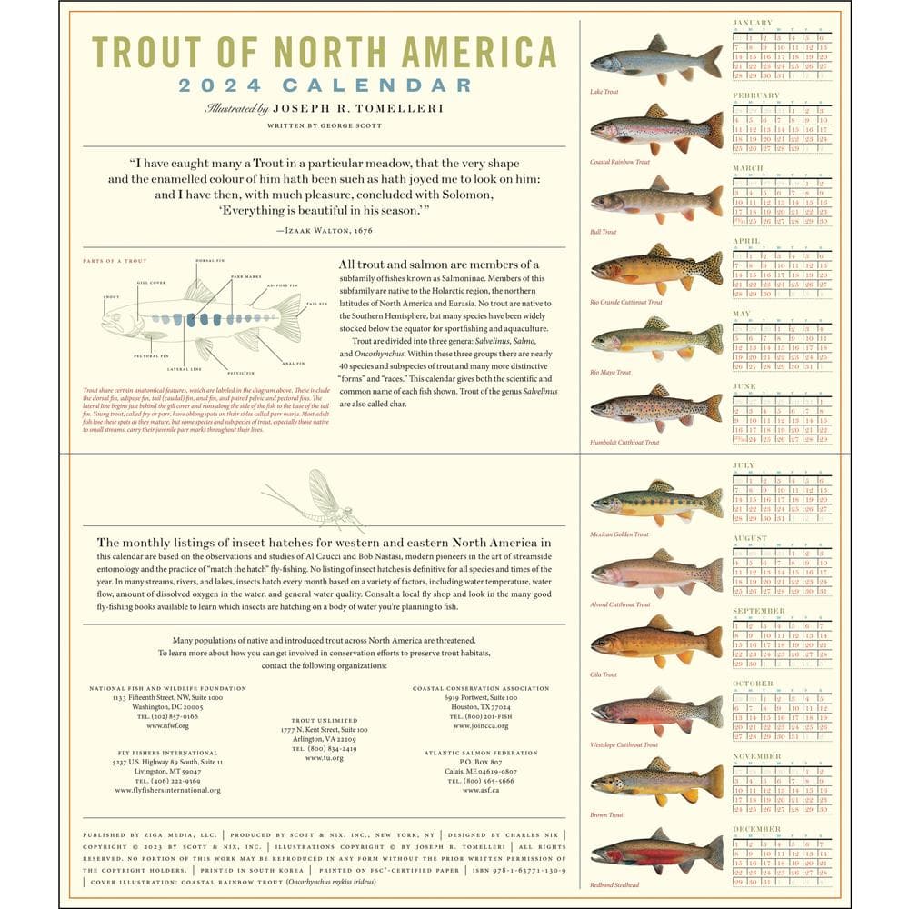 Trout of North America 2024 Wall Calendar product Image