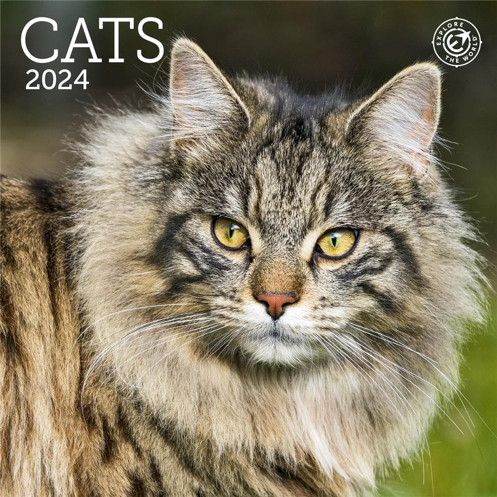 Cats 2024 Mini Calendar product Image