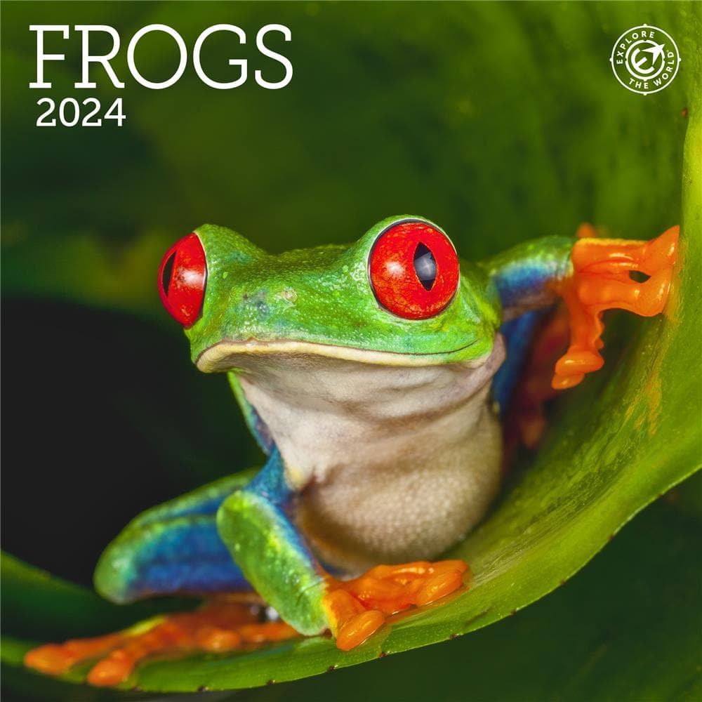 Frogs 2024 Mini Calendar product Image