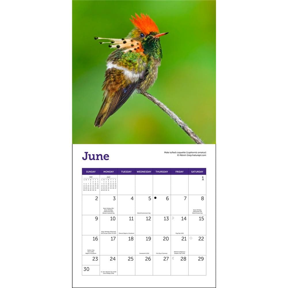 Hummingbirds 2024 Mini Calendar product Image