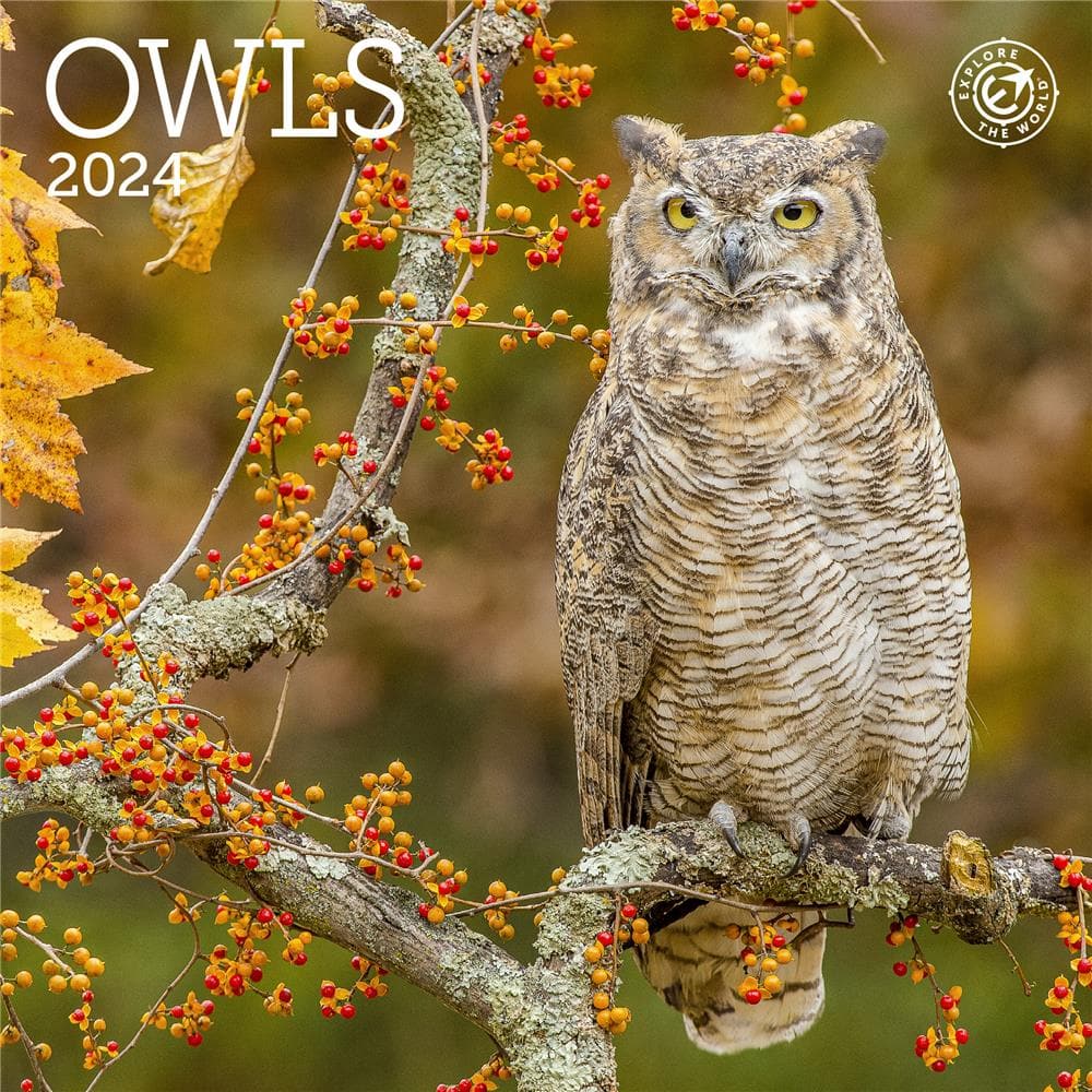 Owls 2024 Mini Calendar product Image