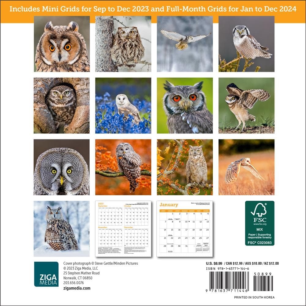 Owls 2024 Mini Calendar product Image