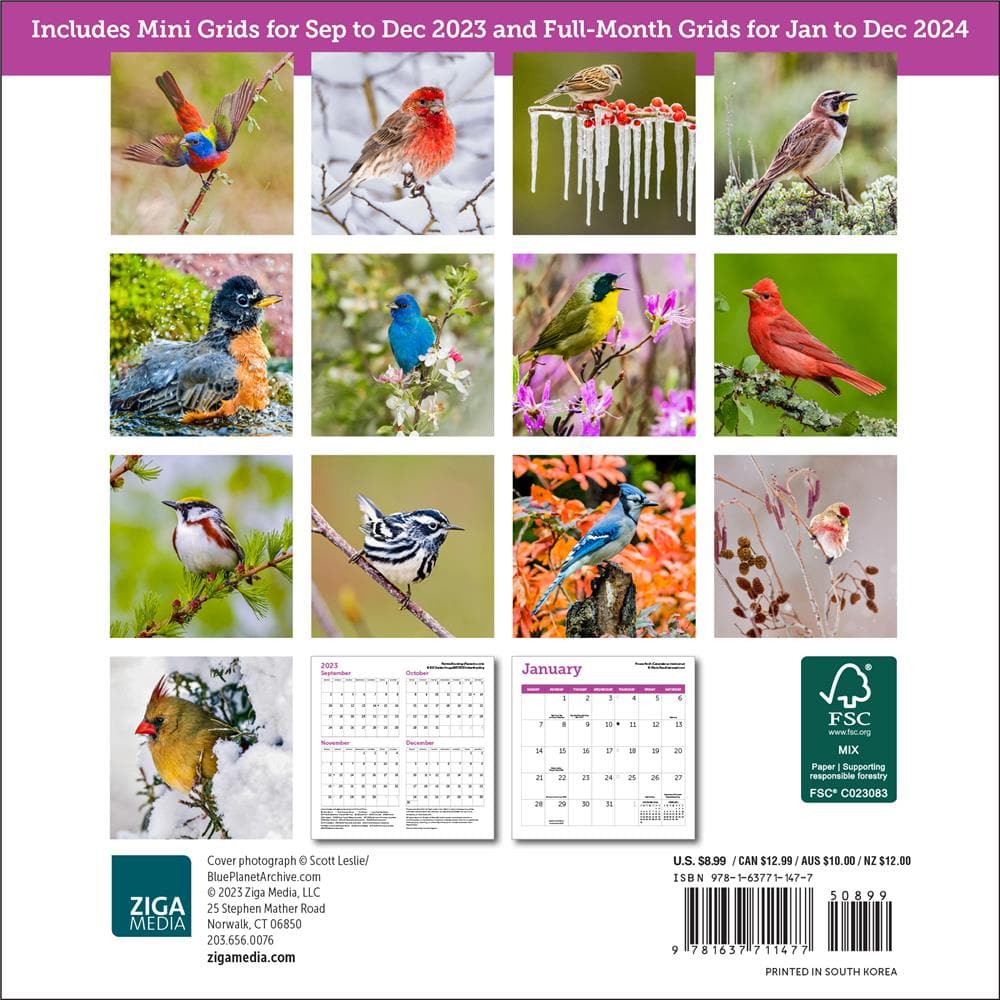 9781637711477 Songbirds Mini Ziga Media Calendar Club