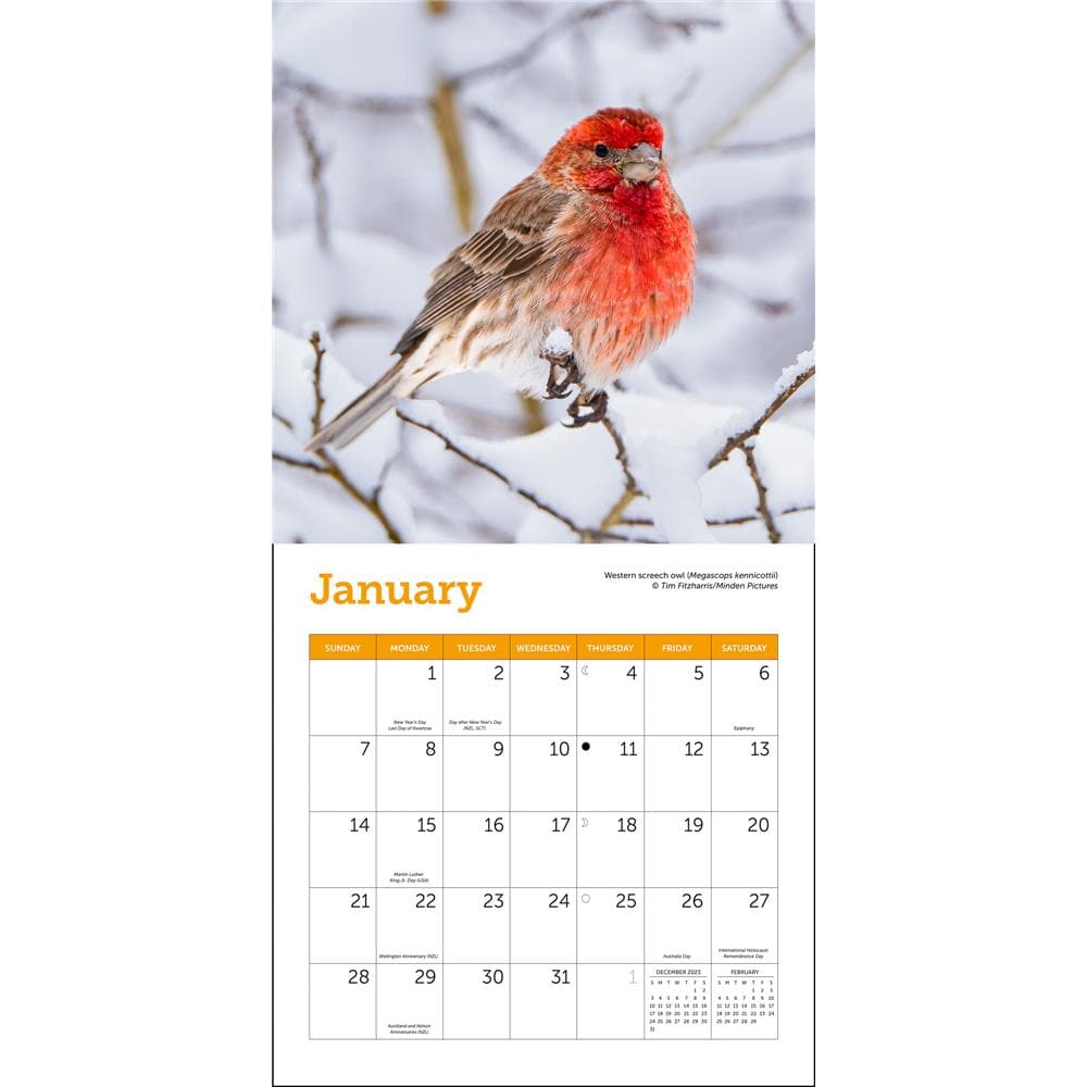 Songbirds 2024 Mini Calendar product Image