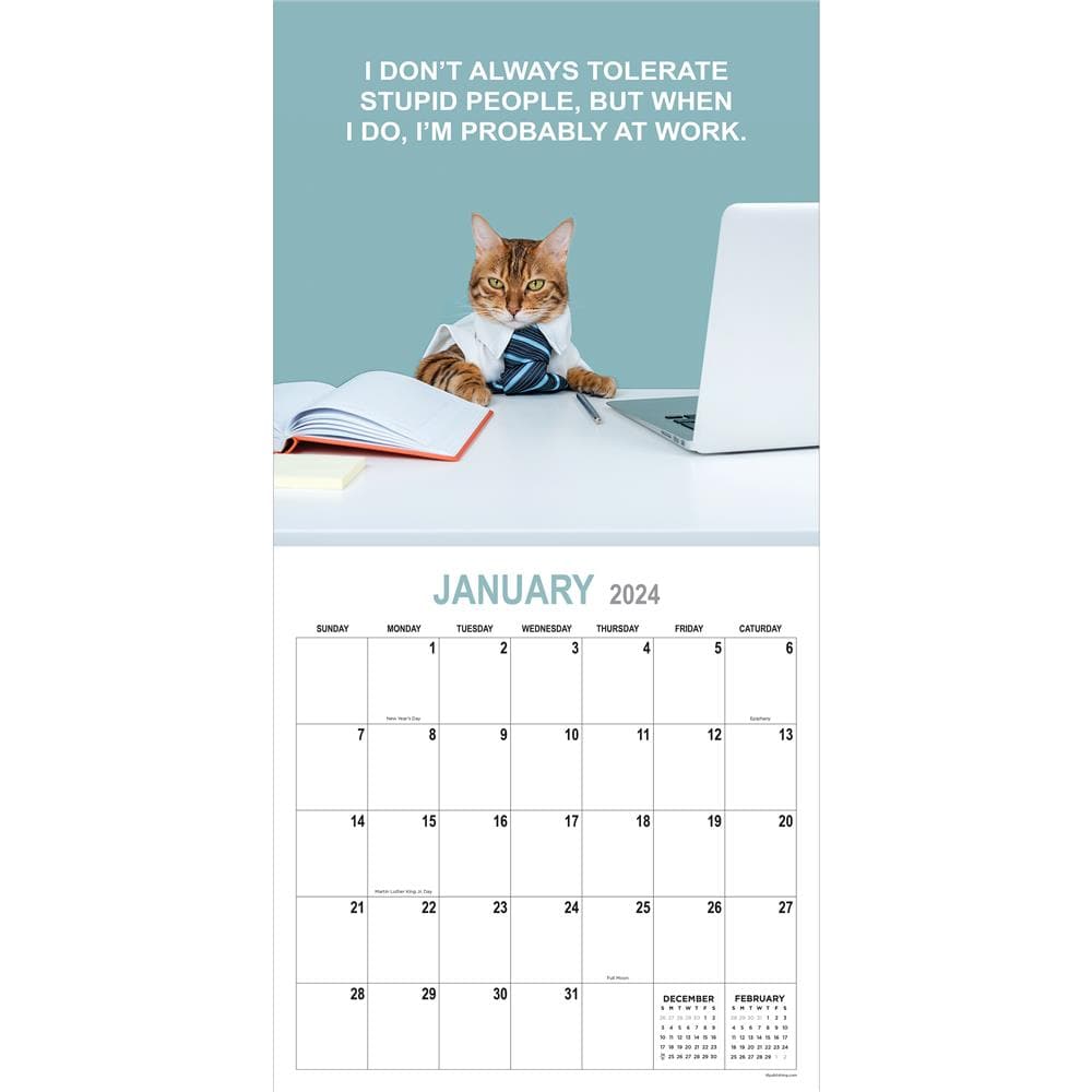 Corporate Cats 2024 Wall Calendar product image