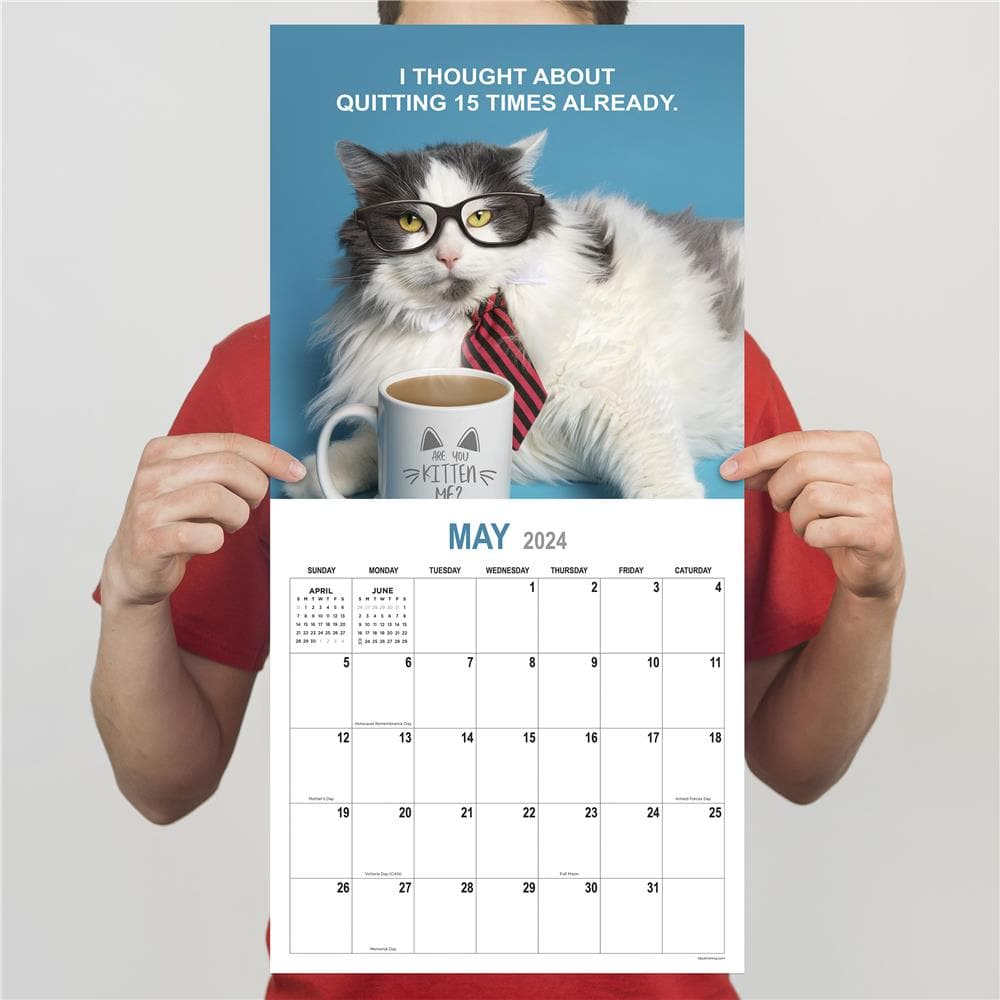 Corporate Cats 2024 Wall Calendar product image