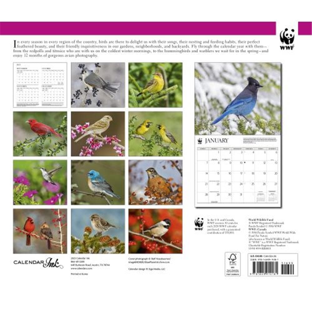 Birds Backyard WWF 2024 Wall Calendar product image