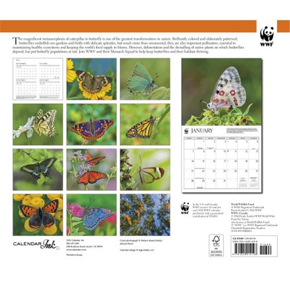 Butterflies WWF 2024 Wall Calendar product image