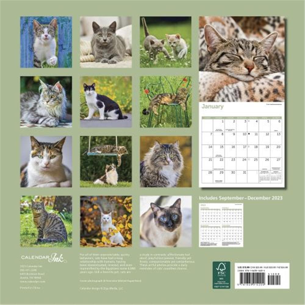 Cats 2024 Wall Calendar product image