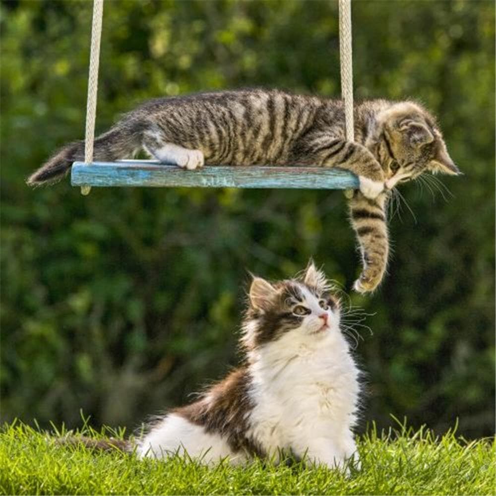 Cats 2024 Wall Calendar product image
