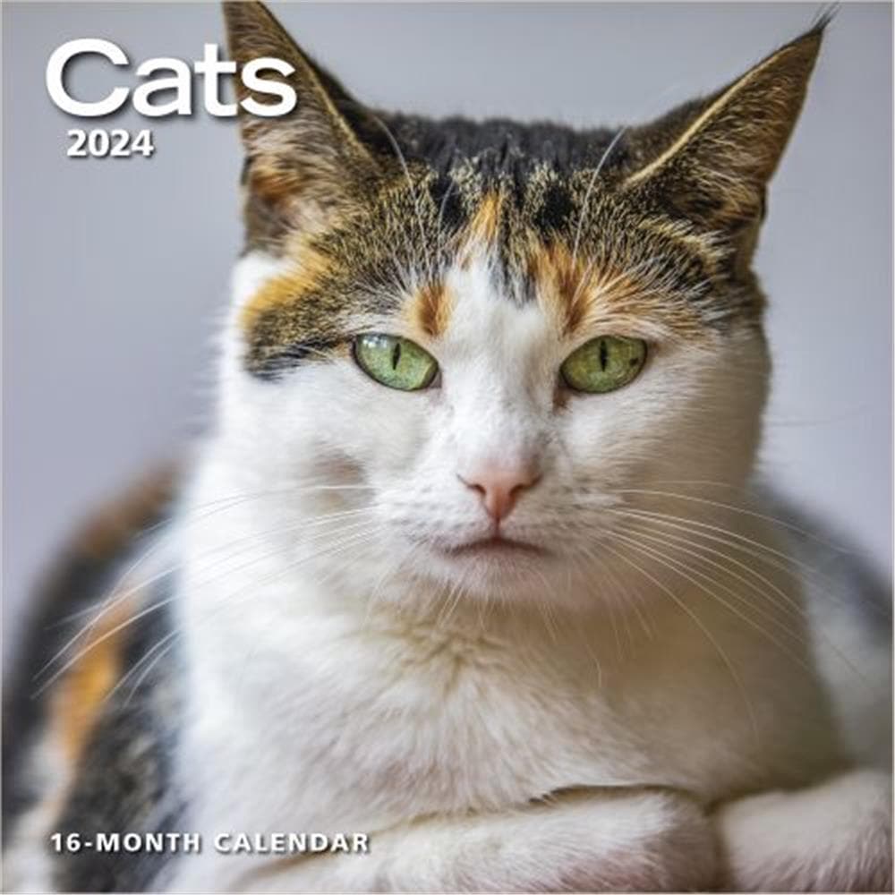 Cats 2024 Wall Calendar product image