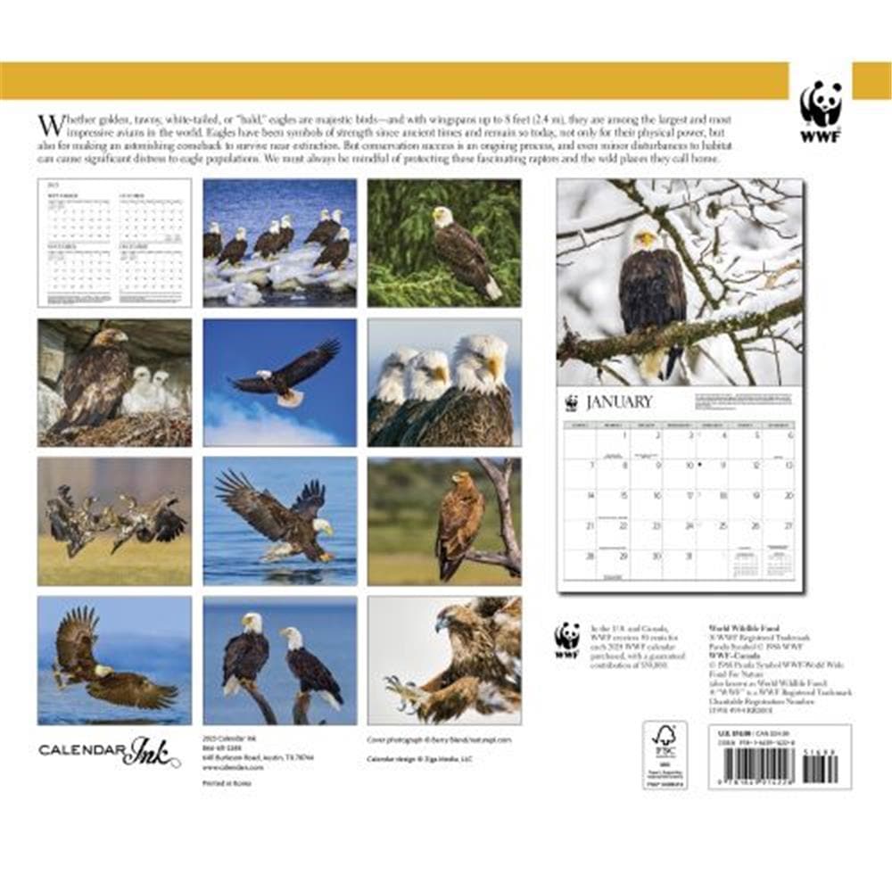 Eagles WWF 2024 Wall Calendar product image