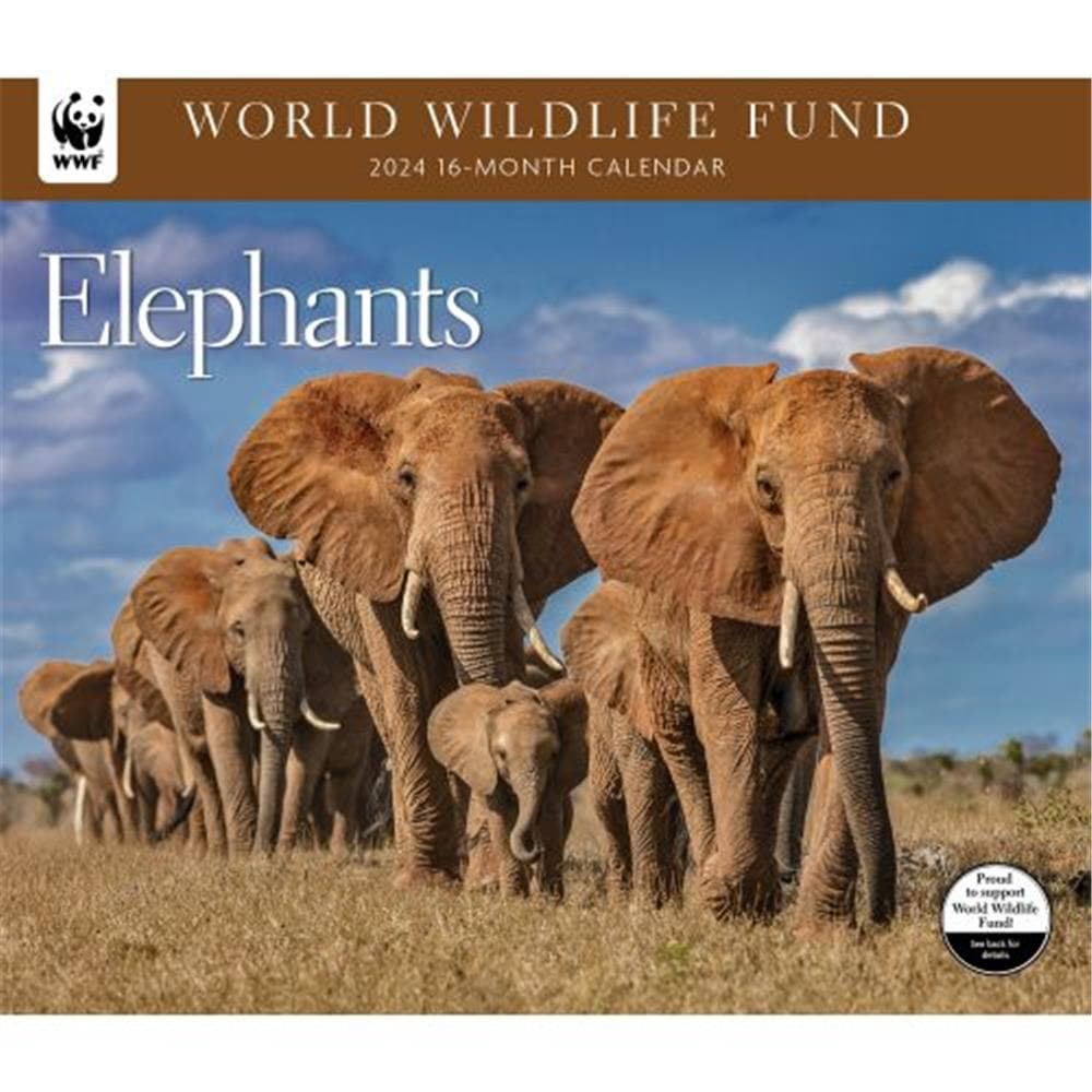 Elephants WWF 2024 Wall Calendar product image