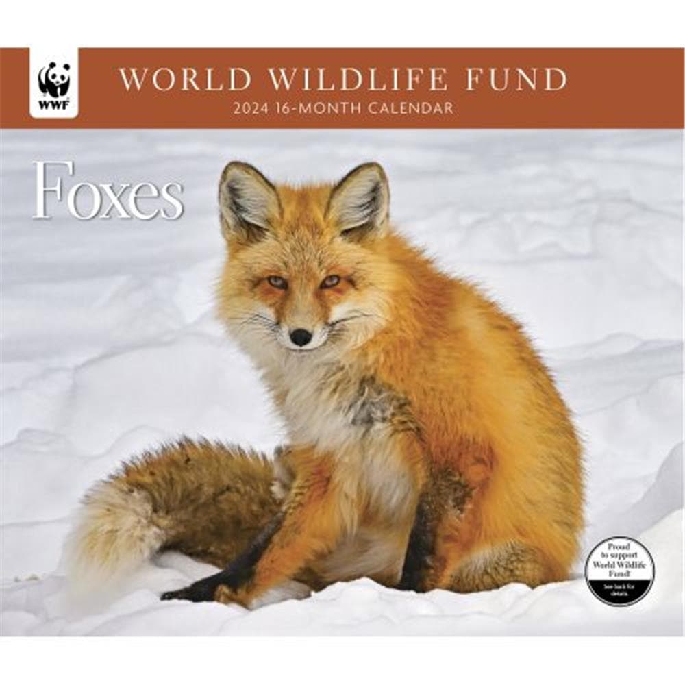 Foxes WWF 2024 Wall Calendar product image