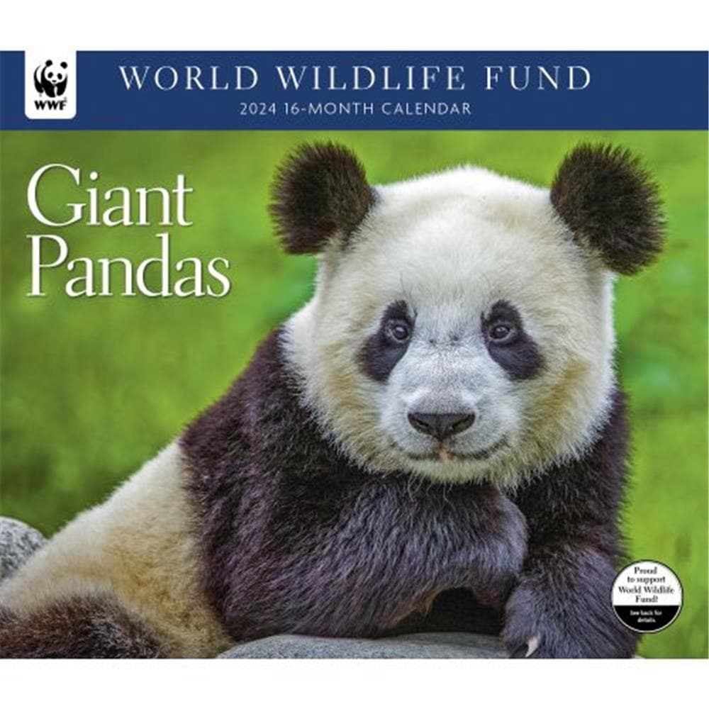 Giant Pandas WWF 2024 Wall Calendar product image