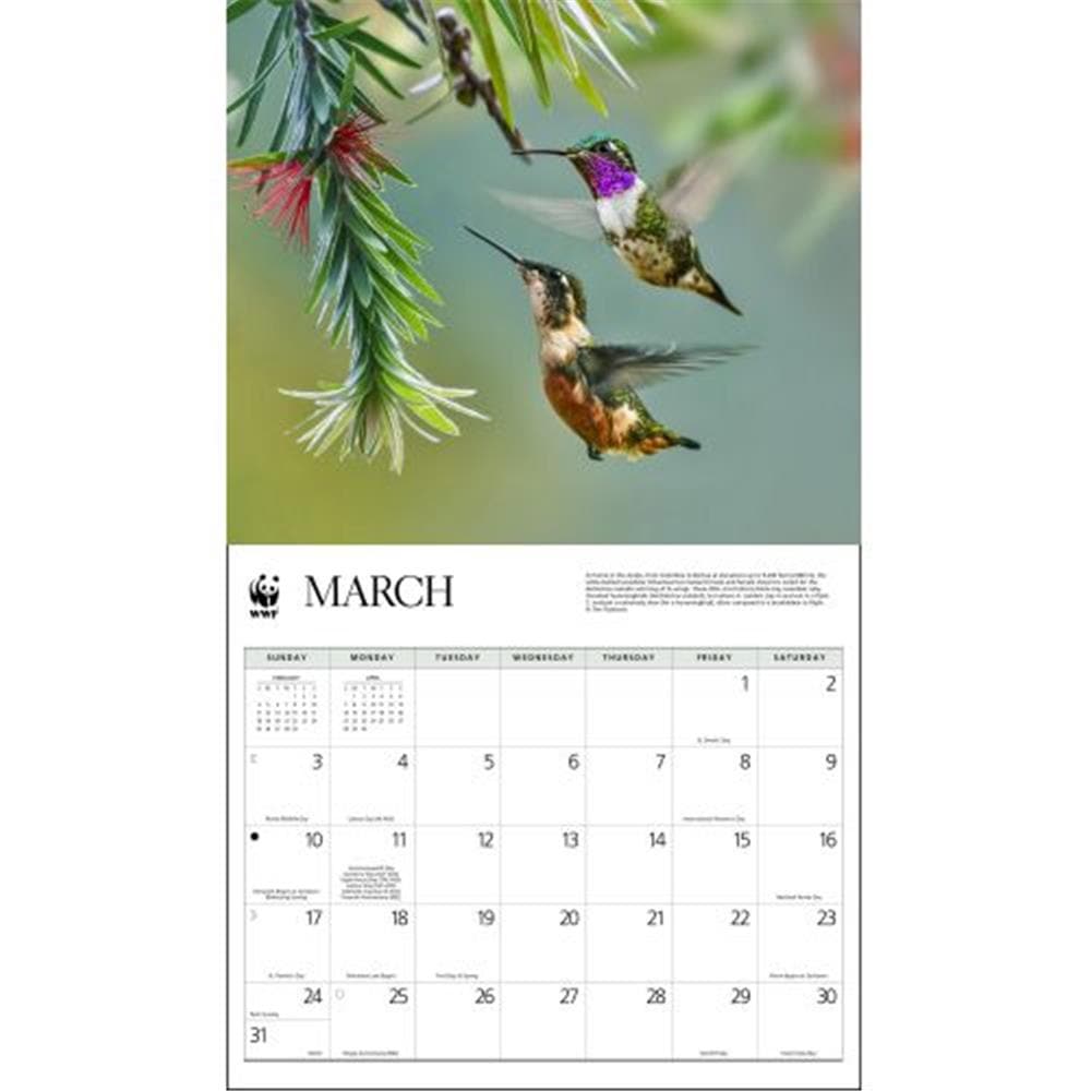 Hummingbirds WWF 2024 Wall Calendar product image