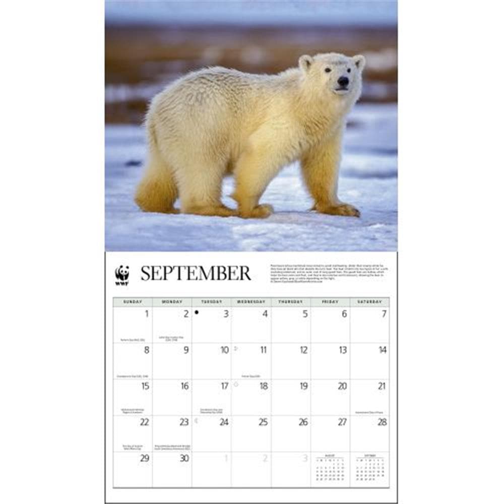 Polar Bears WWF 2024 Wall Calendar product image