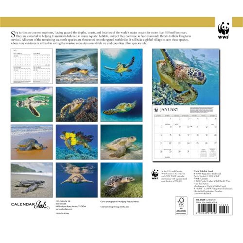 Sea Turtles WWF 2024 Wall Calendar product image