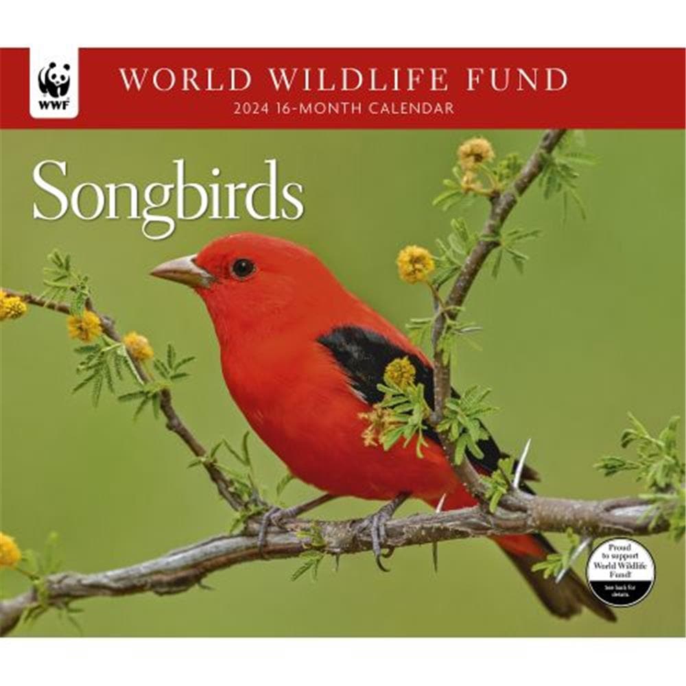 Songbirds WWF 2024 Wall Calendar product image