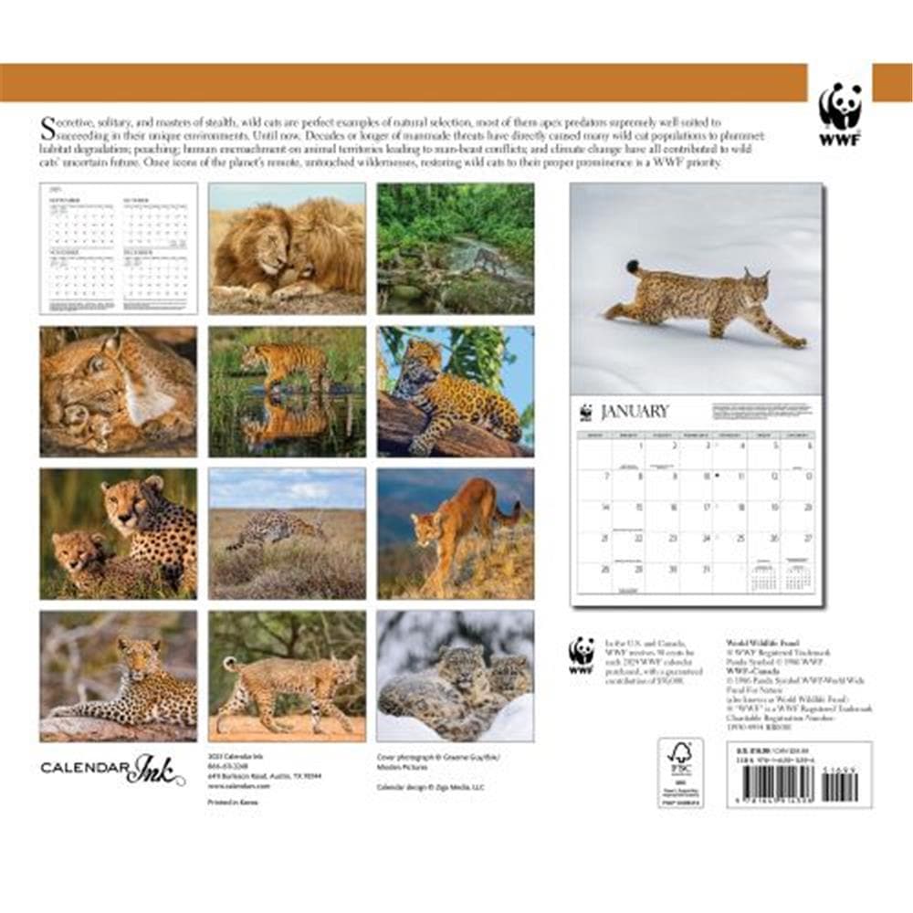 Wild Cats WWF 2024 Wall Calendar product image