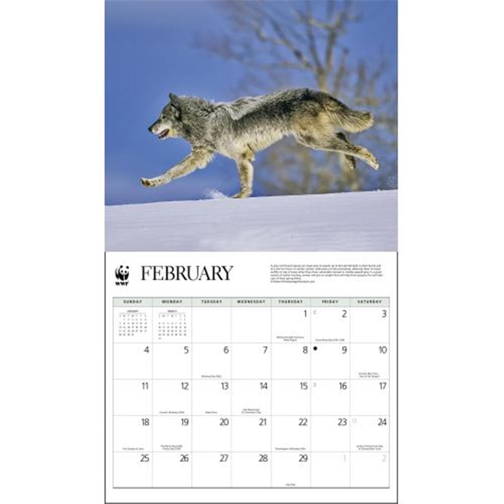 Wolves WWF 2024 Wall Calendar product image