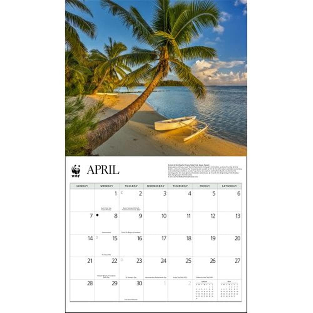 Islands WWF 2024 Wall Calendar product image
