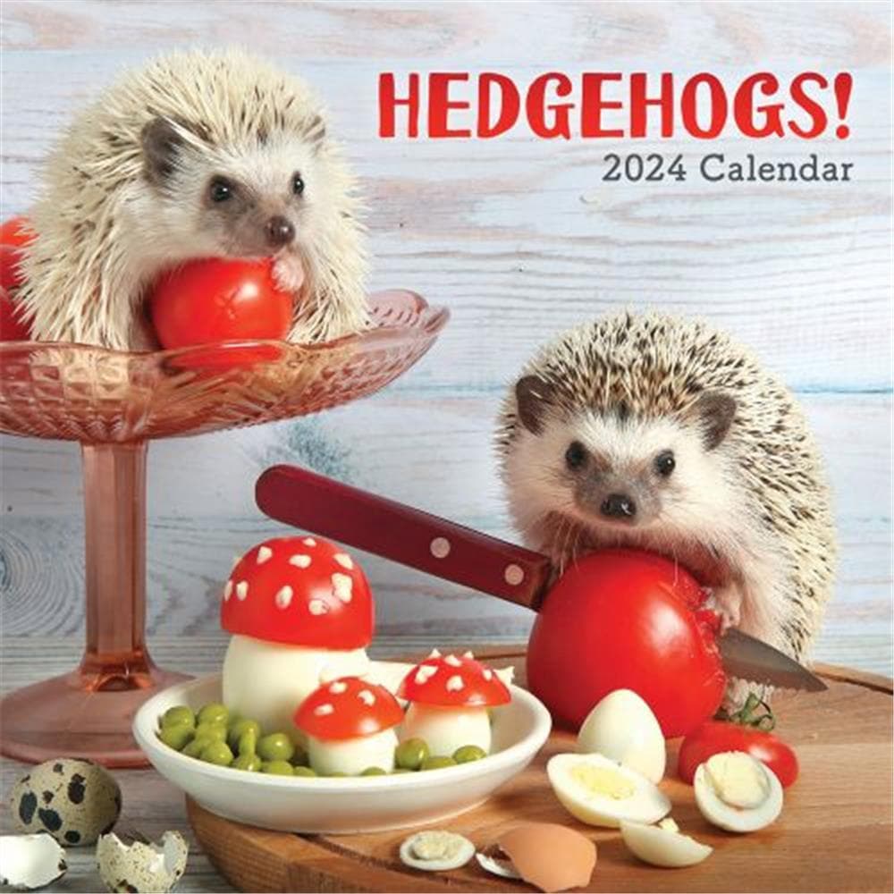Hedgehogs 2024 Wall Calendar product image