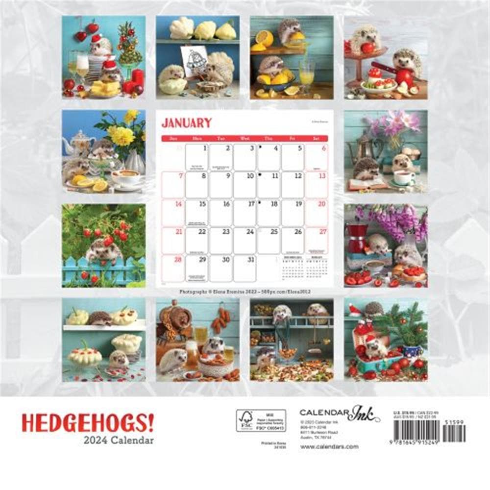 Hedgehogs 2024 Wall Calendar product image