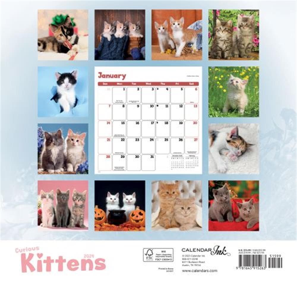 Curious Kittens 2024 Wall Calendar product image