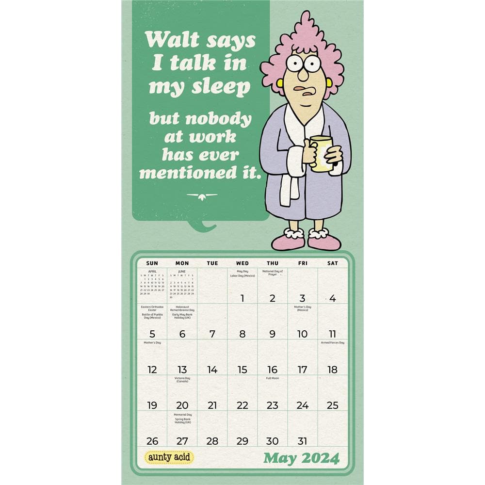 Aunty Acid 2024 Mini Calendar product image