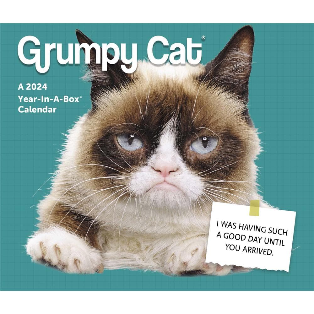 Grumpy Cat 2024 Box Calendar product image