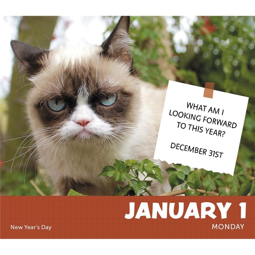 Grumpy Cat 2024 Box Calendar product image