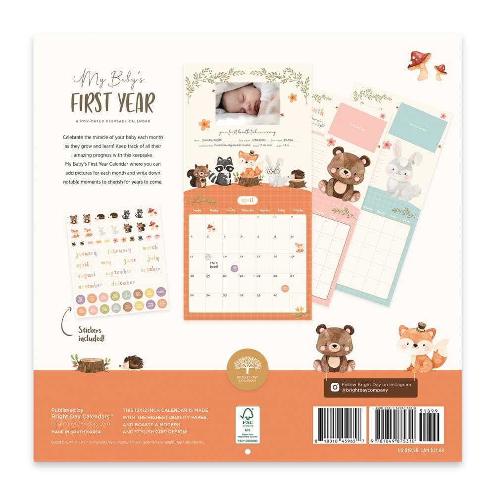 My Babys First Year with Pocket Undated Wall Calendar product image