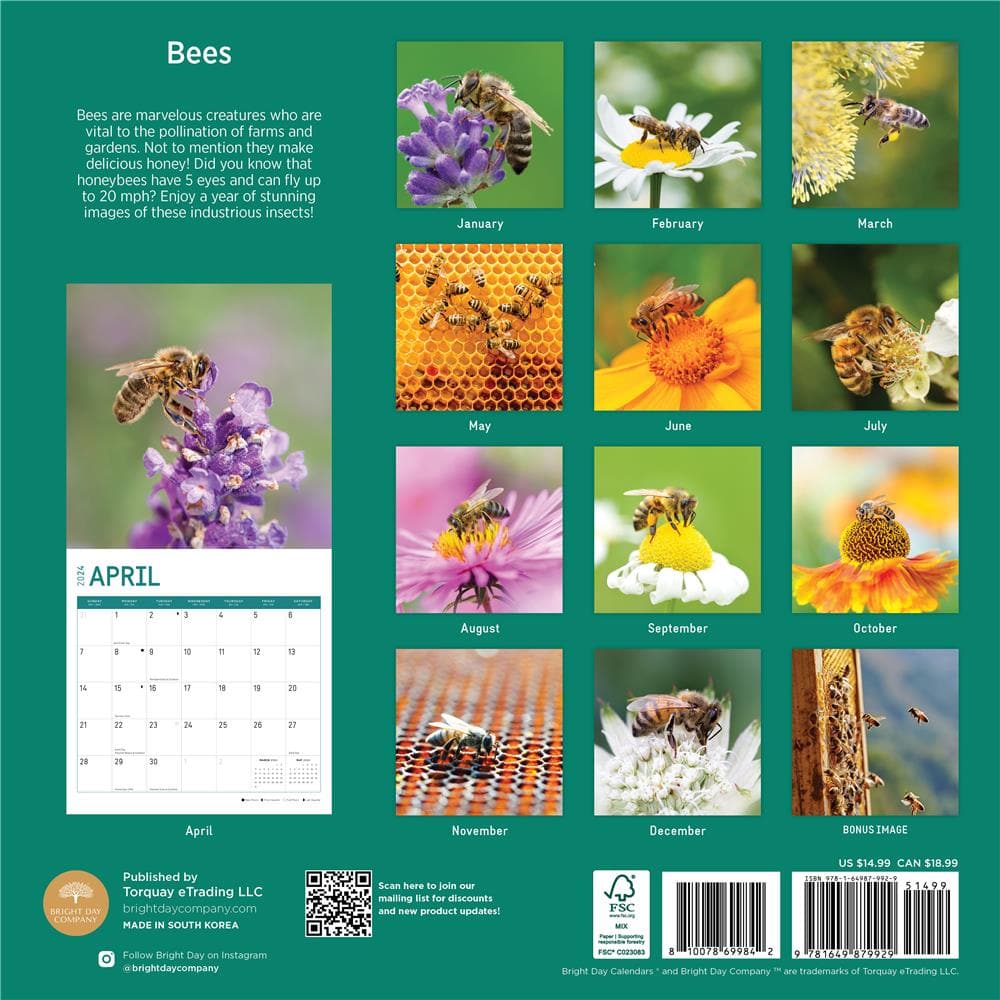 Bees 2024 Wall Calendar product image