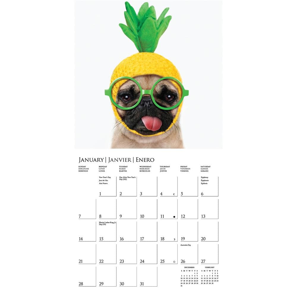 Pawparazzi 2024 Mini Calendar product image