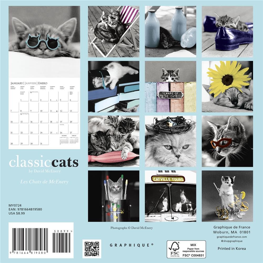 Classic Cats 2024 Mini Calendar product image