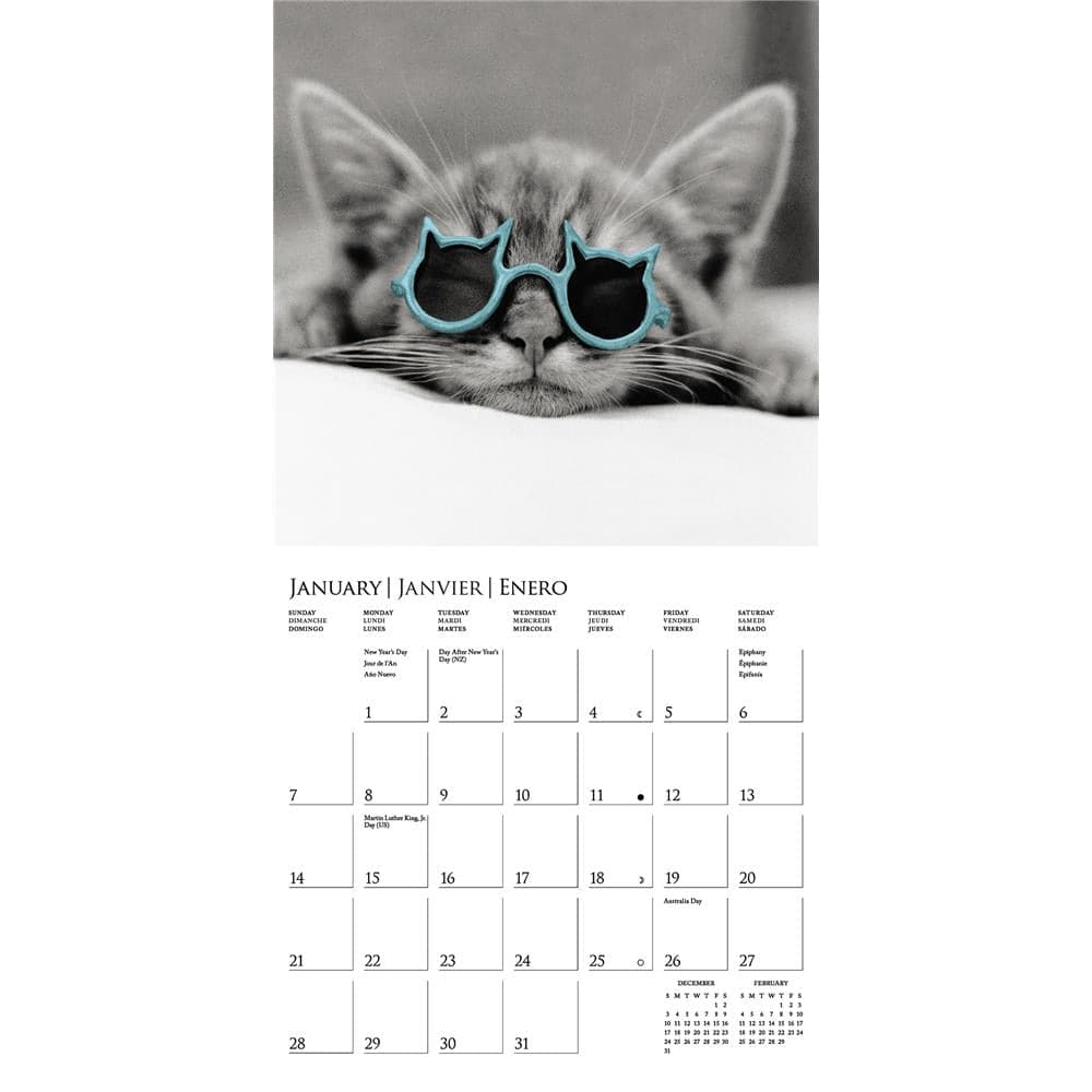 Classic Cats 2024 Mini Calendar product image
