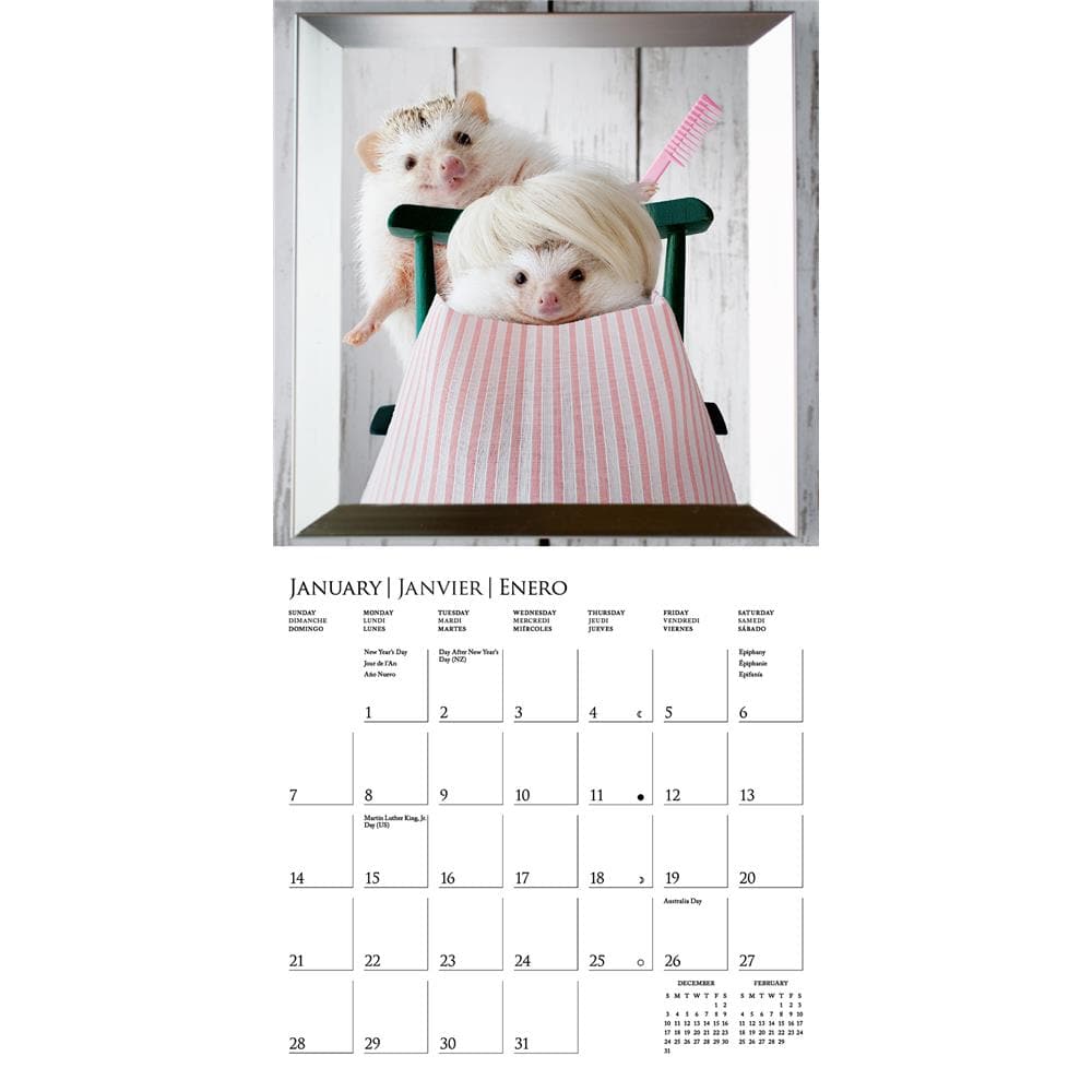 Happiest Hedgehogs 2024 Mini Calendar product image