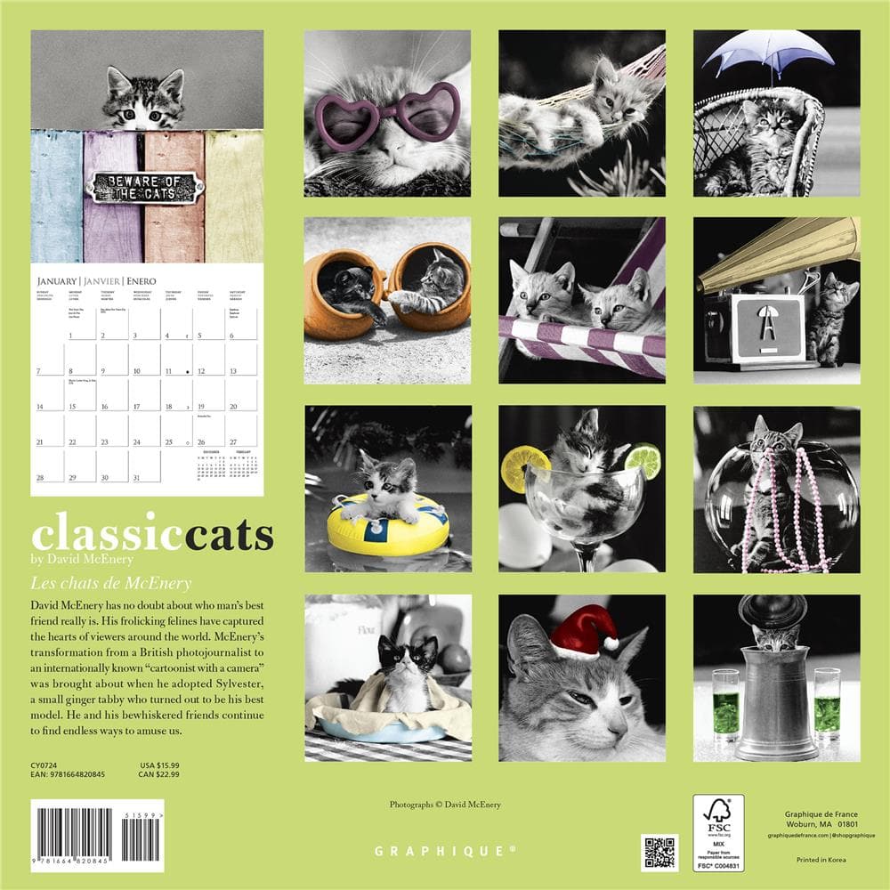 Classic Cats 2024 Wall Calendar product image