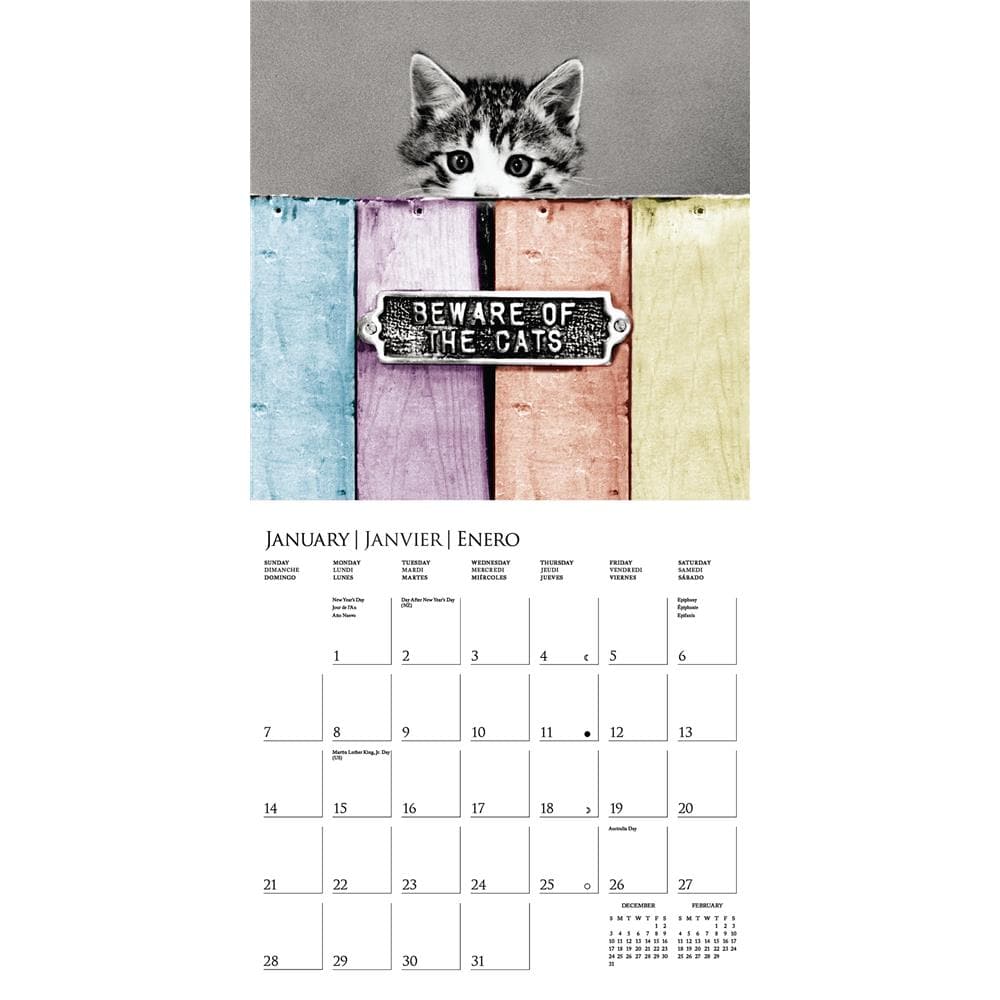 Classic Cats 2024 Wall Calendar product image