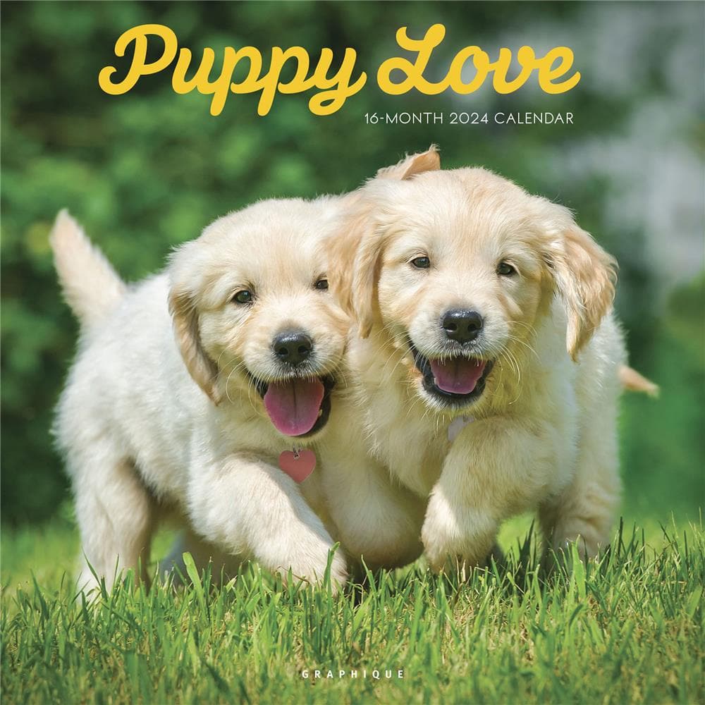Puppy Love 2024 Wall Calendar product image