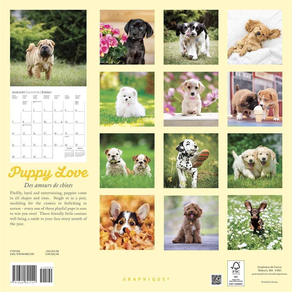 Puppy Love 2024 Wall Calendar product image