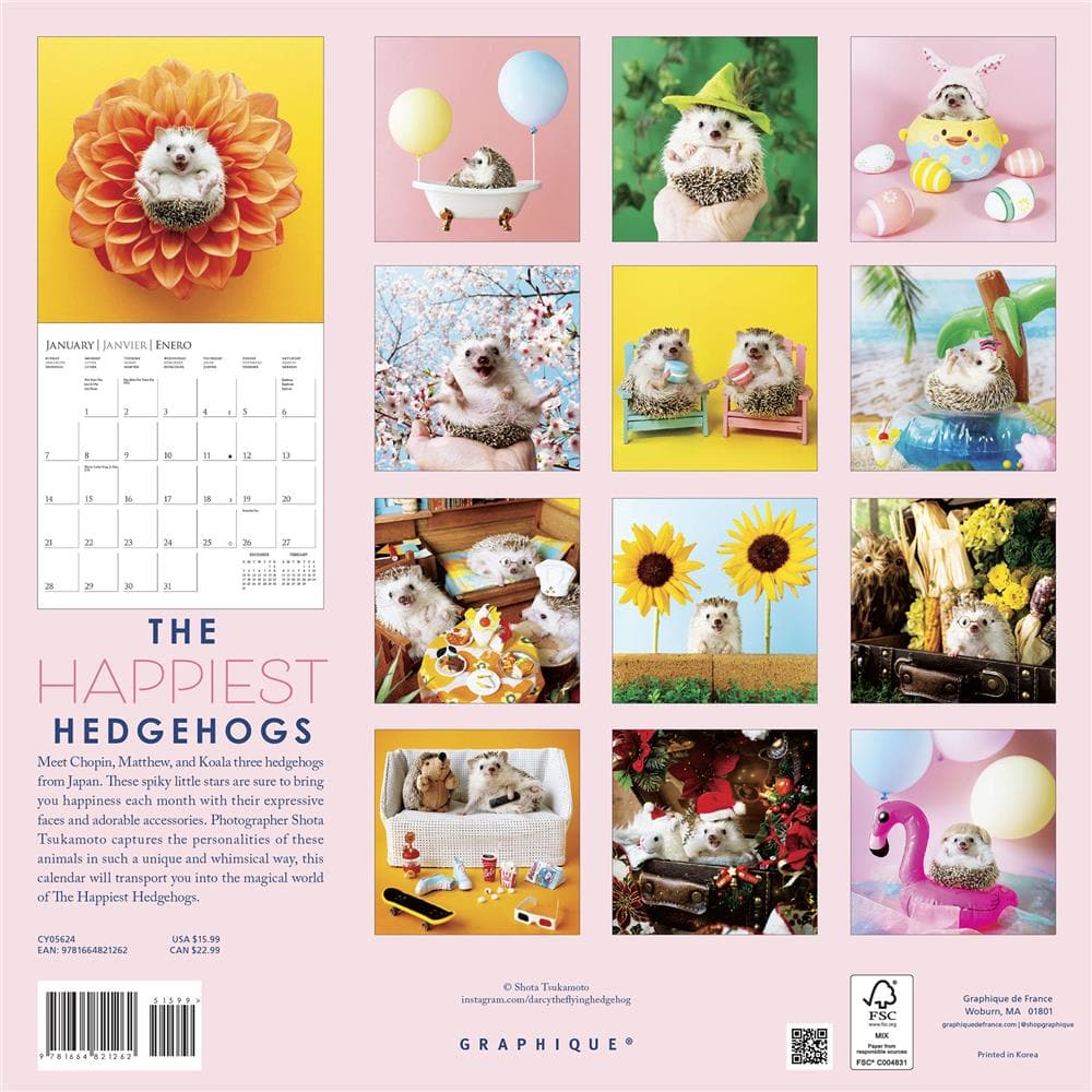 Happiest Hedgehogs 2024 Wall Calendar product image